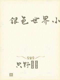 银色世界小说