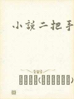 小说二把手