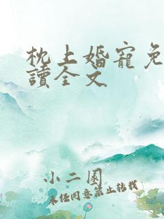 枕上婚宠免费阅读全文