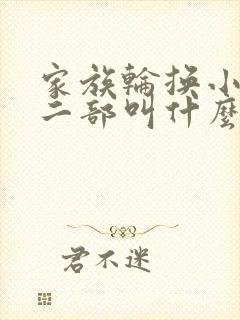 家族轮换小说第二部叫什么名字