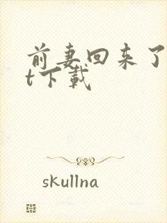 前妻回来了txt下载