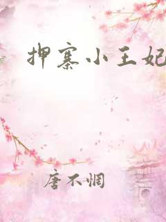押寨小王妃