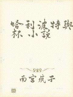 哈利波特与火焰杯 小说