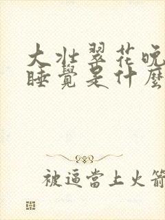 大壮翠花晚上不睡觉是什么电视剧