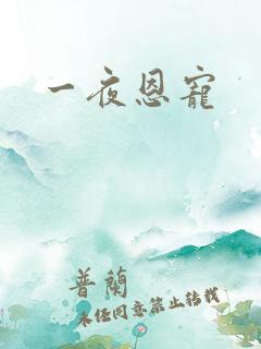 一夜恩宠