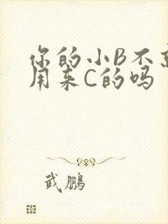 你的小B不就是用来C的吗