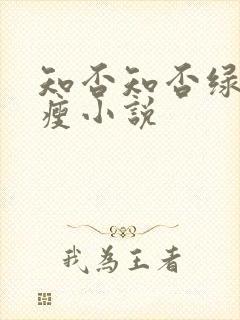 知否知否绿肥红瘦小说