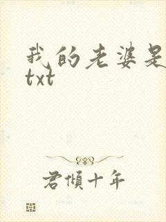 我的老婆是上司txt