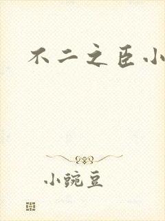 不二之臣小说