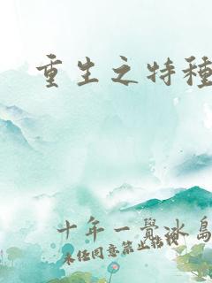 重生之特种军嫂