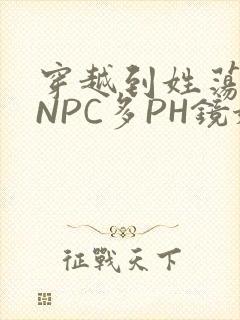 穿越到姓荡游戏NPC多PH镜姬