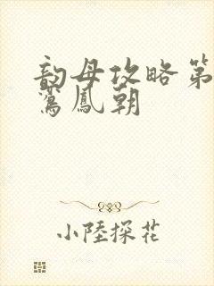 韵母攻略第二部鸾凤朝