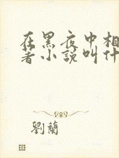 在黑夜中相拥原著小说叫什么