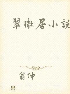 翠微居小说