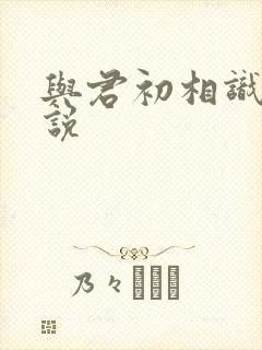 与君初相识 小说