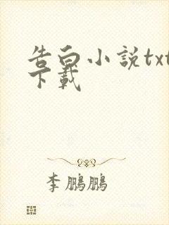 告白小说txt下载