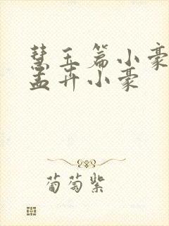 慧玉篇小豪续上孟卉小豪