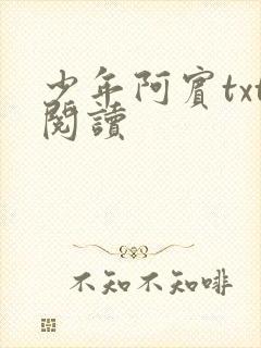 少年阿宾txt阅读