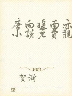 唐向暖南亦琛的小说免费观看