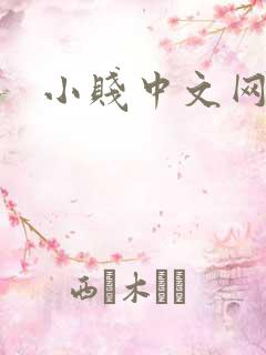 小贱中文网