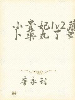 小贵妃1v2萝卜药丸了笔趣阁