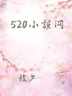 520小说网