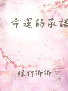 命运的承诺下载