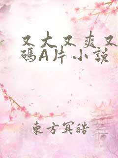 又大又爽又黄无码A片小说