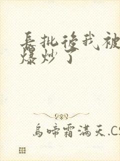 长批后我被宿敌爆炒了