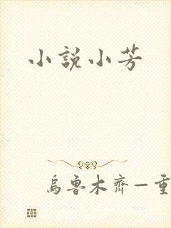 小说小芳