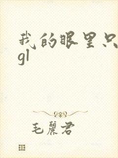 我的眼里只有你gl