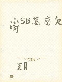 小SB怎么欠C啊