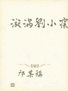 漩涡刘小寐