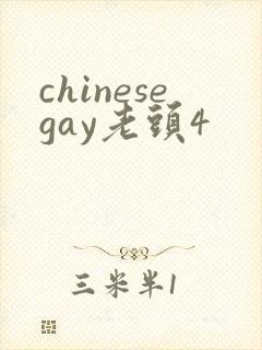 chinesegay老头4