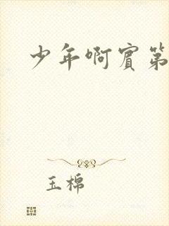 少年啊宾第二部