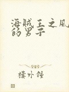 海贼王之风一样的男子