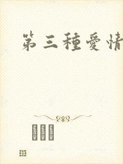 第三种爱情番外