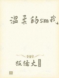 温柔的sm我