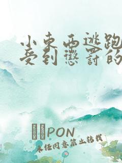 小东西逃跑是要受到惩罚的