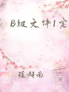 B级文件1完整