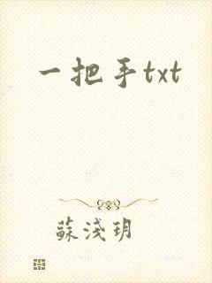 一把手txt