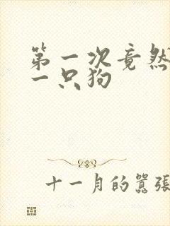 第一次竟然给了一只狗