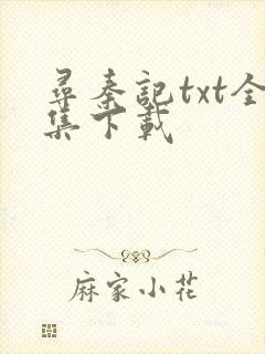 寻秦记txt全集下载