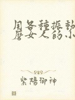 用各种振动器折磨女人的小说