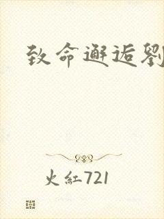 致命邂逅刘小寐