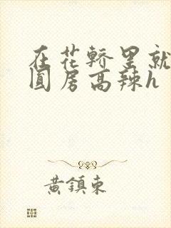 在花轿里就开始圆房高辣h