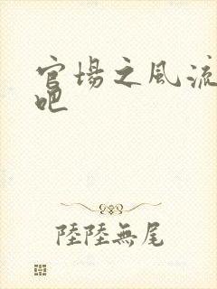 官场之风流人生吧