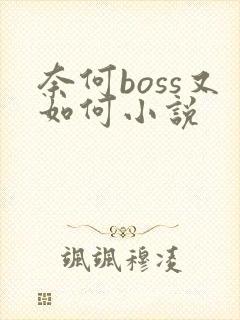 奈何boss又如何小说