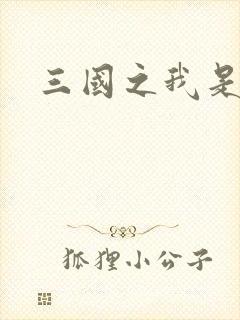 三国之我是华雄