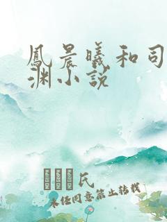 凤晨曦和司鸿颜渊小说